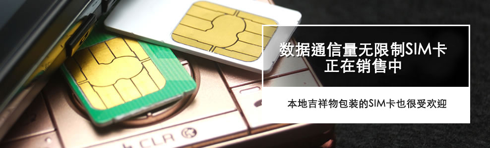 SIM cards for use within Japan