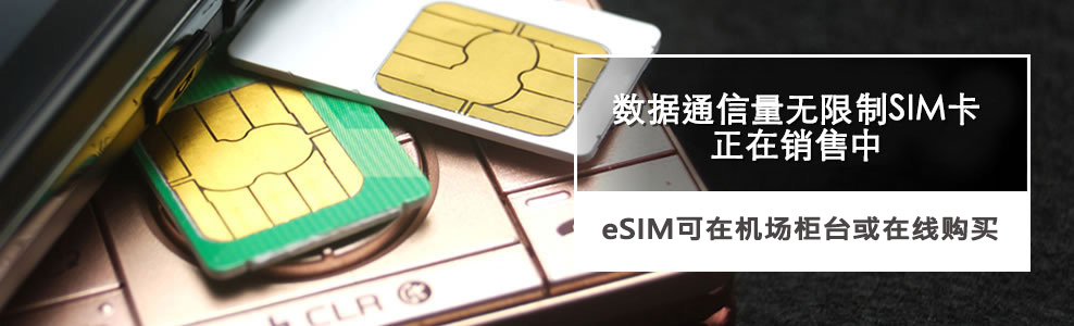 SIM cards for use within Japan