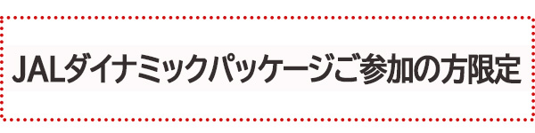JALパックダイナミックパッケージご参加の方限定